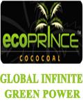 GLOBAL INFINITE GREEN POWER